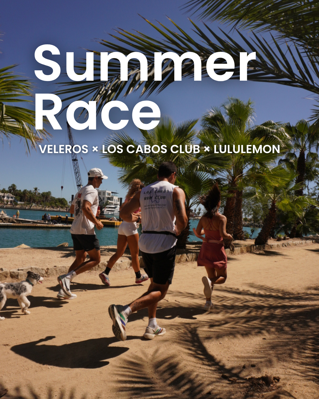Summer Race — Solo Medalla